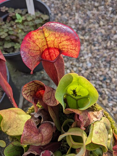 PXL_20230908_163327123