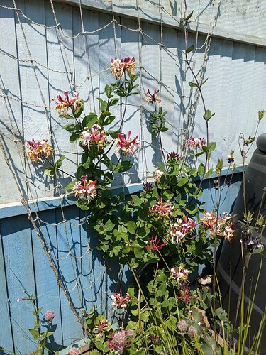 PXL_20230610_105938370