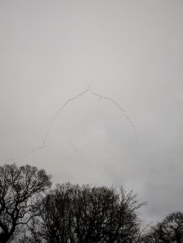 PXL_20241229_162131211