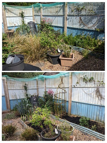 20240512_181533-COLLAGE