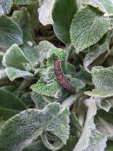 PXL_20230509_191258298