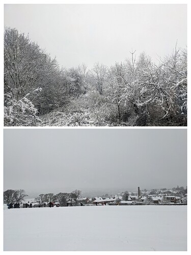 20250105_121017-COLLAGE