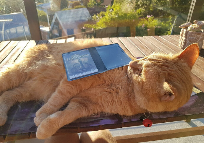 The Last Lighthouse Cat