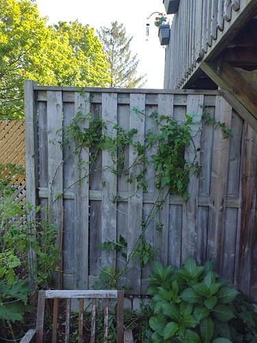 IMG_20220919_120803131