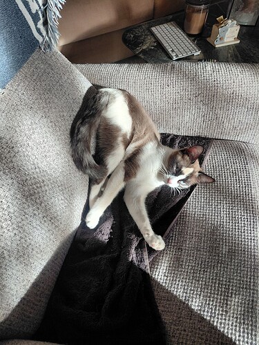 624505086_4116286075336063_6689027263309574949_n