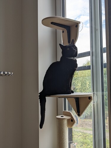 PXL_20240828_130935084