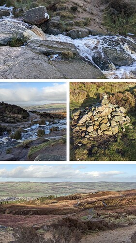 20240102_174530-COLLAGE