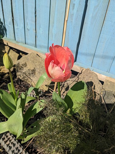 PXL_20230407_133103168