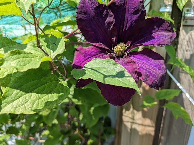 PXL_20230610_105947738