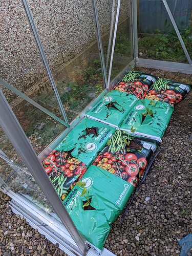 PXL_20230513_175157266