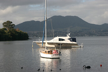 IMG_2009-1782