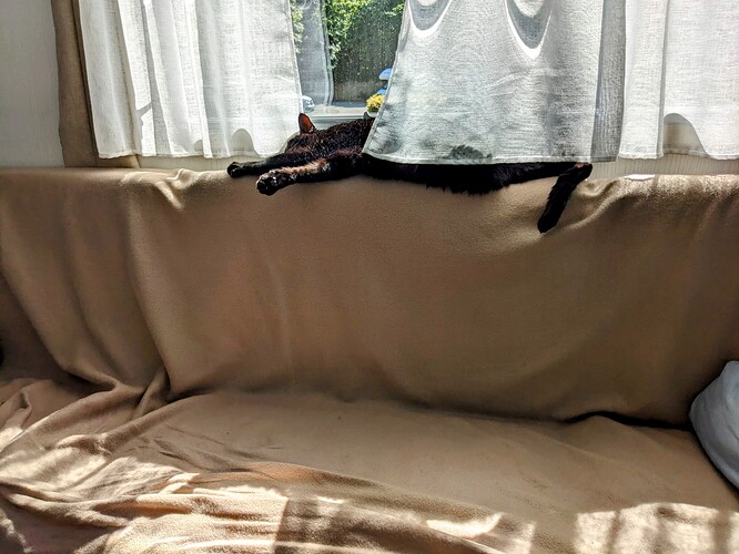 PXL_20240520_133255669~2