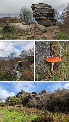 20231022_171548-COLLAGE