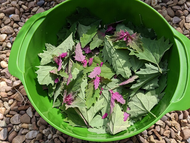 PXL_20220807_142213617