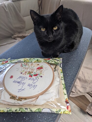 PXL_20240622_115356691