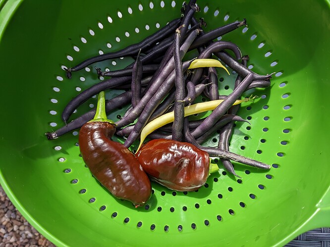 PXL_20220807_135644184