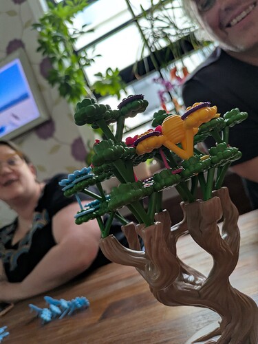 PXL_20250601_150616807.MP