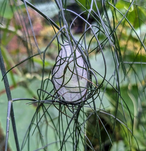 PXL_20230804_180056859~2