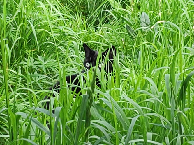 IMG_20230514_171958