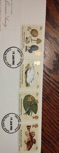 IMG_20240331_212055