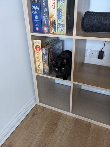 PXL_20240805_054502977