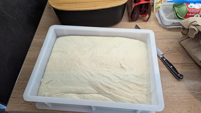 Lots of Pizza Dough