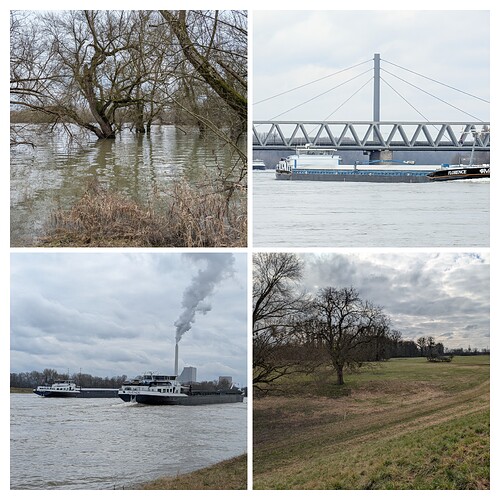 20260215_161801-COLLAGE