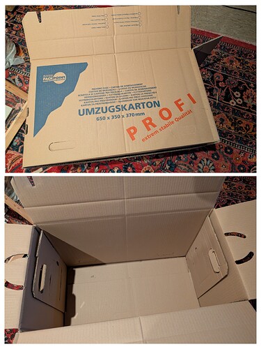 20251208_133638-COLLAGE