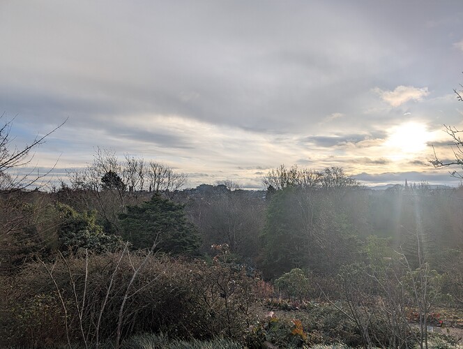 PXL_20241228_131312454