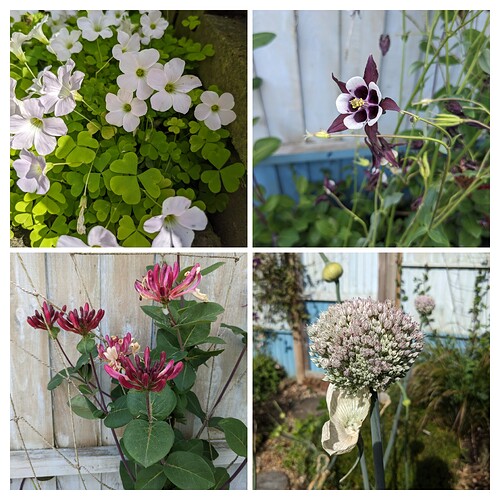 20240713_122141-COLLAGE