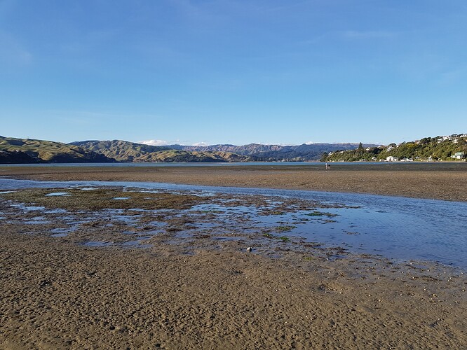 low tide