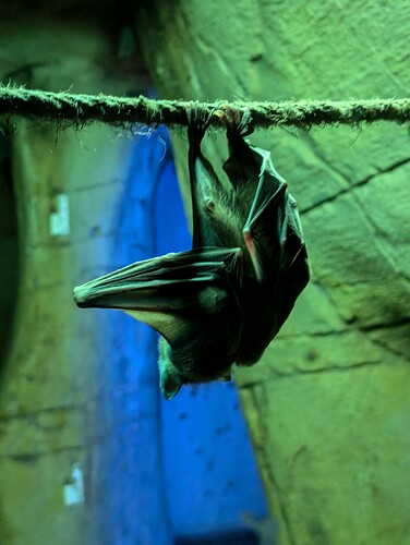 PXL_20240718_112649870