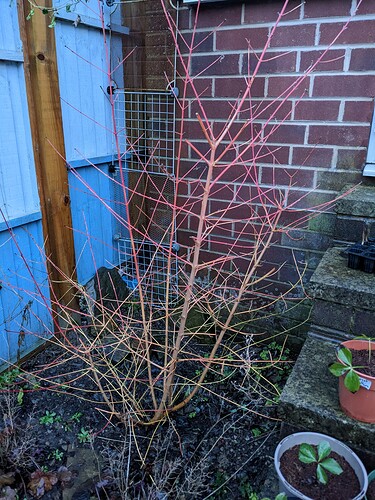 PXL_20230101_155549174