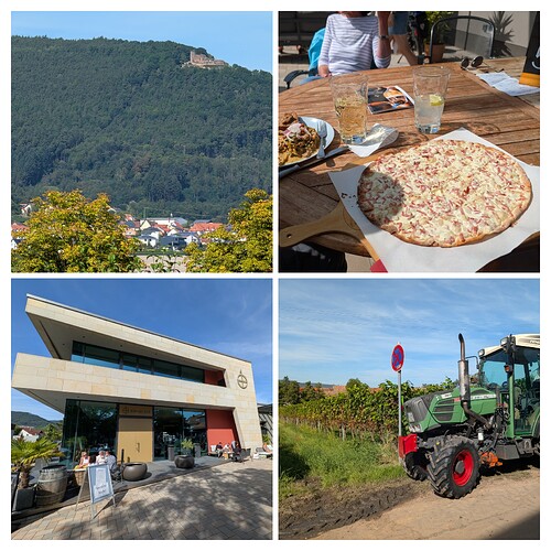 20250908_074356-COLLAGE