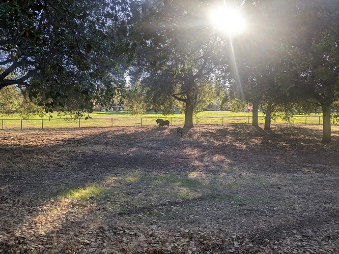 PXL_20251029_233022303