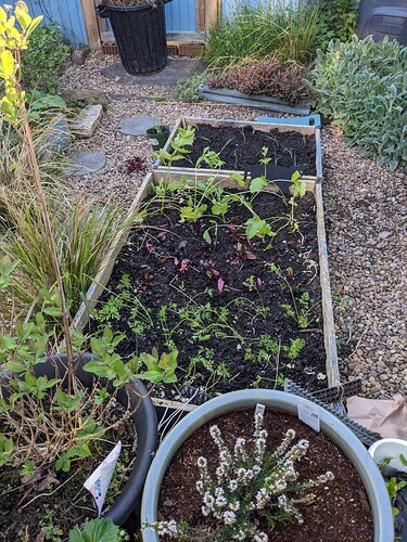 PXL_20230513_175144928