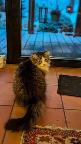 Go out in that? Never!!!