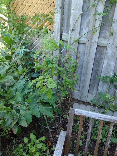 IMG_20220919_120832264