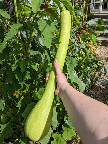 PXL_20220807_133620155