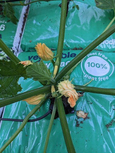 PXL_20230615_190121714