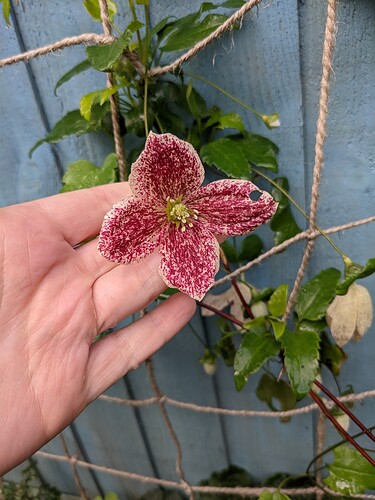 PXL_20221106_100502015