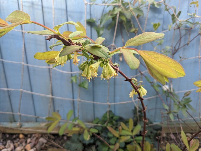 PXL_20230327_093334440