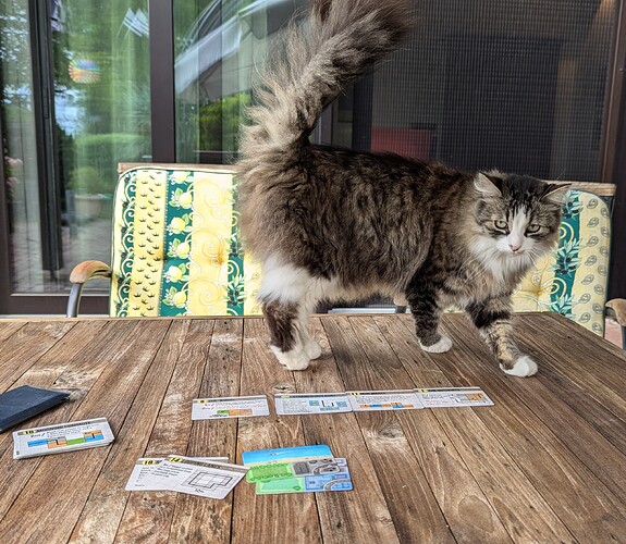 PXL_20240618_155639374~2