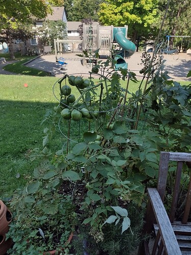 IMG_20220919_120827522_HDR