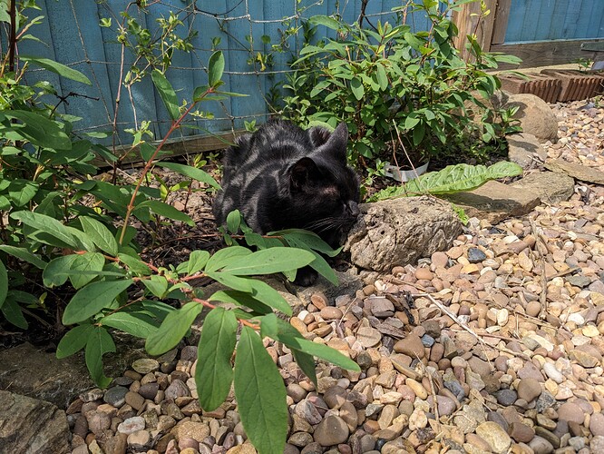 PXL_20230529_123607172