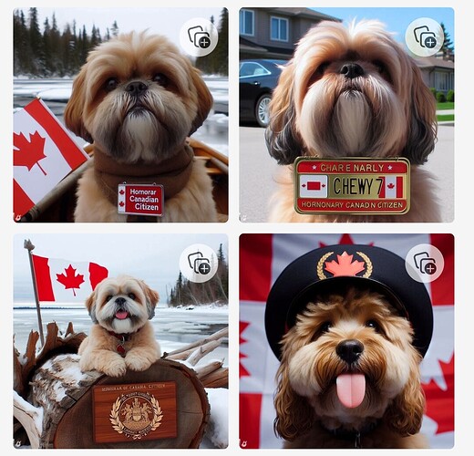 Screenshot_2024-01-11-06-58-58-84_40deb401b9ffe8e1df2f1cc5ba480b12