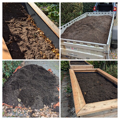 20241027_122307-COLLAGE