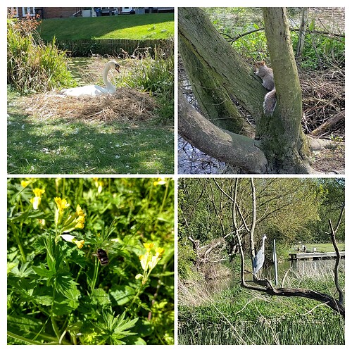 20260425_200642-COLLAGE