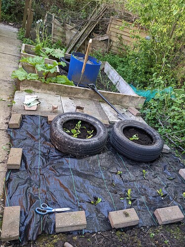 PXL_20230513_180956129