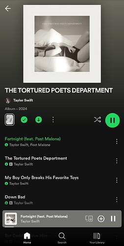 Screenshot_20240419_134807_Spotify
